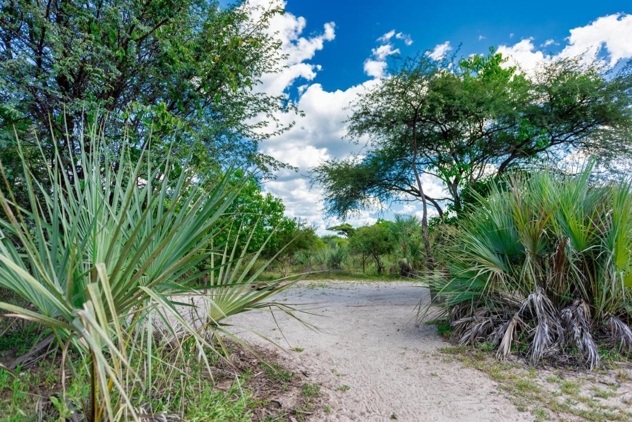 Semowi Lodge And Campsites Mirapene Bagian luar foto